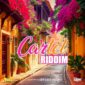 CARTEL RIDDIM – PANTASON MUSIC | IAMWAV MUSIC (2024)