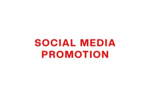 SOCIAL MEDIA PROMOTION