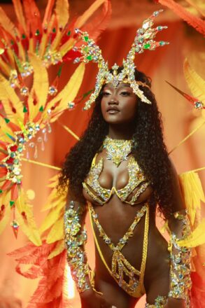 Patience carnival model Feature banner