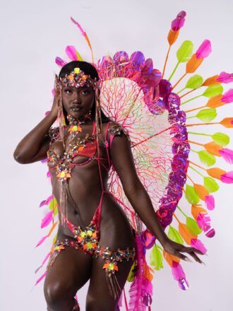 Patience carnival model Feature banner