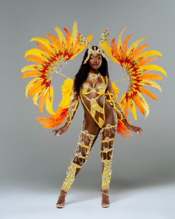 Patience carnival model Feature banner