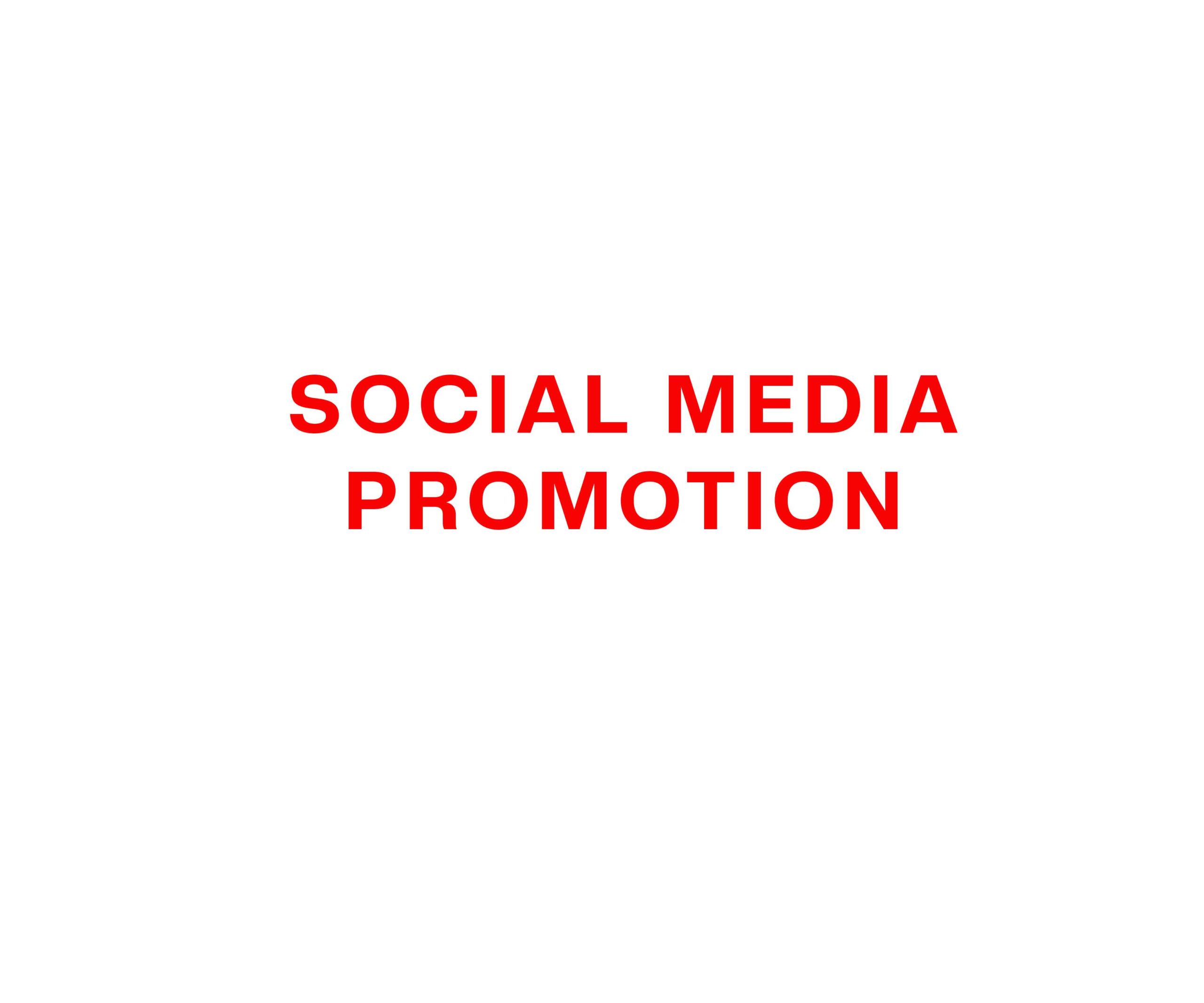 SOCIAL-MEDIA-PROMOTION SOCIAL MEDIA PROMOTION