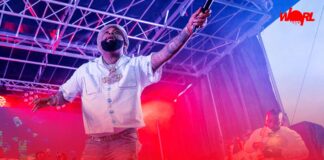 Bus Drivers Link Up 2025 — Addington Park, UK EVENT REVIEW Demarco Bus Driver Linkup 2025