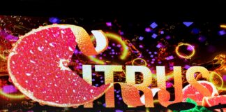 Citrus 2026 Trinidad Citrus 2026 Trinidad