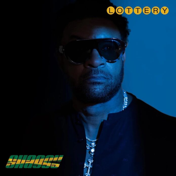 Shaggy-Lottery